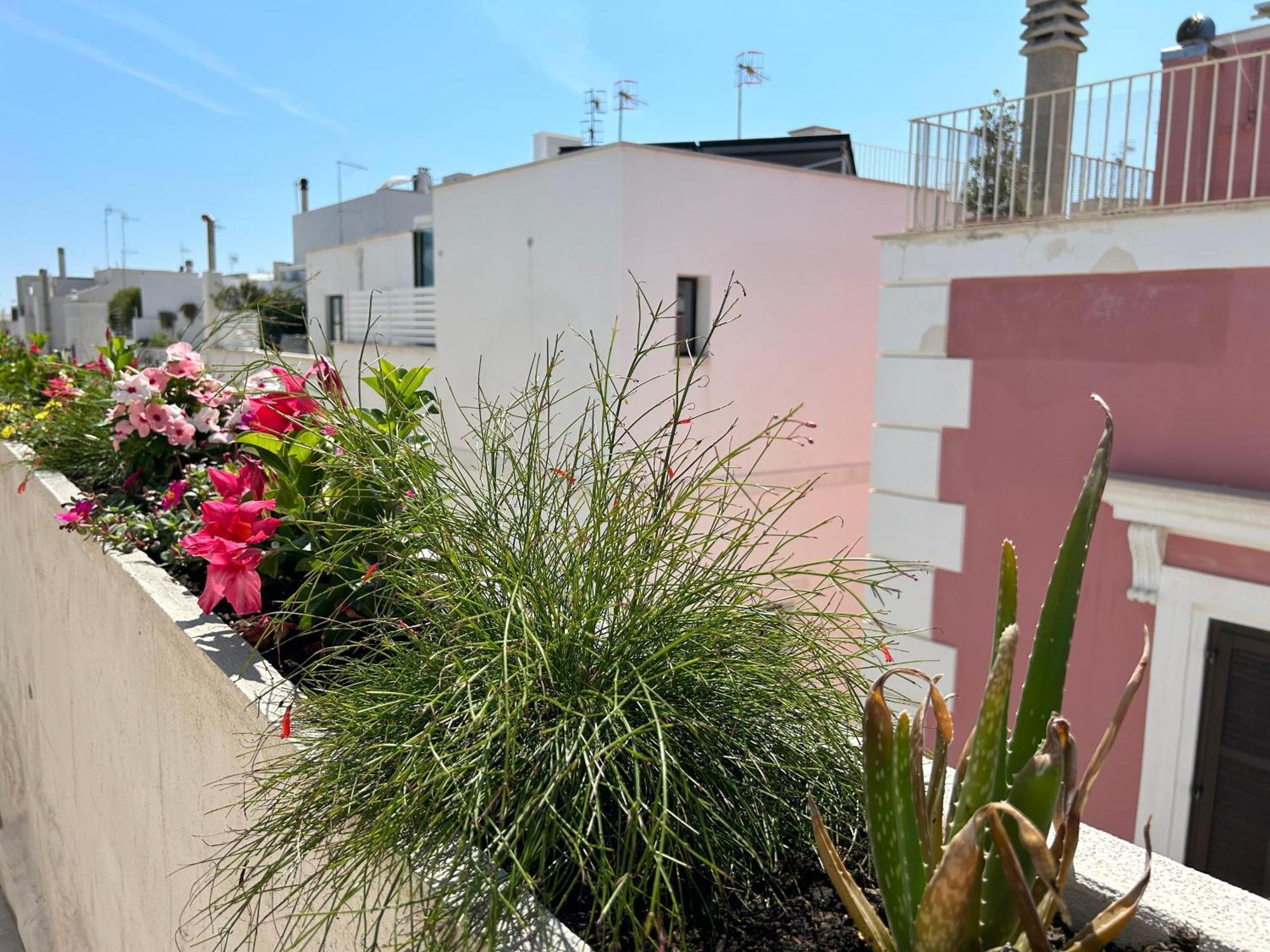 Trame Dimora Rachele Bed & Breakfast Polignano a Mare Luaran gambar